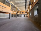 700 m² - wielofunkcyjny lokal w placem i magazynem - 6