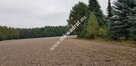 DZIAŁKA W OTULINIE LASU - 2