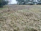 Działka budowlana Masłów 1200m2 - 4