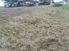 Działka budowlana Masłów 1200m2 - 2
