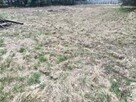 Działka budowlana Masłów 1200m2 - 5