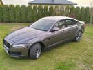 Jaguar Xf 2.D 2016r - 5