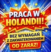 PRACA W NL - SZYBKIE WYJAZDY