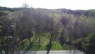 Dziełka rolna w Borowcu gm. Ciepielów pow. lipski. - 3