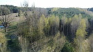 Dziełka rolna w Borowcu gm. Ciepielów pow. lipski. - 6
