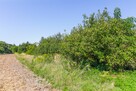 Działka budowlana Żabia Wola gm. Strzyżewice, - 4