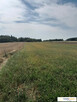 atrakcyjna działka rolna Skrzelczyce - 10
