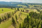 DZIAŁKA ROLNA - SPRZEDAŻ- ZĄB (LIGASÓWKA) - 6