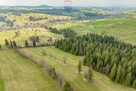 DZIAŁKA ROLNA - SPRZEDAŻ- ZĄB (LIGASÓWKA) - 8