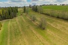 DZIAŁKA ROLNA - SPRZEDAŻ- ZĄB (LIGASÓWKA) - 9
