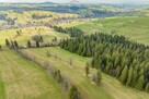 DZIAŁKA ROLNA - SPRZEDAŻ- ZĄB (LIGASÓWKA) - 10