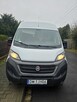 fiat ducato maxi l4h2 polski salon - 3