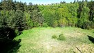 Działka 3000 m² z lasem i mediami – Wilczany - 3