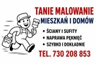 MALOWANIE ŚCIAN I SUFITÓW – SZYBKO I TANIO!