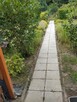 Sprzedam ładną działkę ROD. /można używać cały rok/ - 3
