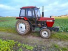Ciągnik CASE 1294 - COMFORT - 70 KM - IH - 3