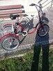 rower elektryczny (rehabilitacyjny) TOLEK - 2