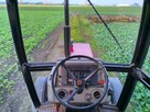 Ciągnik CASE 1294 - COMFORT - 70 KM - IH - 4
