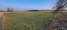 Działka budowlana Przeździatka-Kolonia gm. Sokołów Podlaski - 3