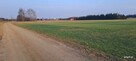 Działka budowlana Przeździatka-Kolonia gm. Sokołów Podlaski - 4