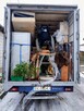Opróżnianie mieszkań, utylizacje, transporty, przeprowadzki - 3