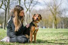 Rubel- młody kontaktowy psiak czeka na dom - 5
