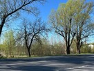 Działka usługowa Bugaj gm. Pobiedziska, - 1