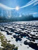 Działka budowlana Łowczów gm. Tuchów - 5