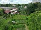 Działka rolna Tarnów - 9
