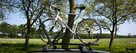 Bagażnik, uchwyt rowerowy na dach SPINDER RT1 - 6
