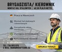 Brygadzista | 62,50 zł/h netto