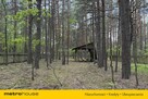 Działka leśna w Nadkole – w pobliżu rzeka Liwiec - 8
