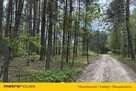 Działka leśna w Nadkole – w pobliżu rzeka Liwiec - 11