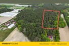 Działka leśna 22 484 m² – godzina od Warszawy! - 4