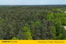 Działka leśna 22 484 m² – godzina od Warszawy! - 13