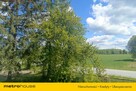 dom mieszkalny Drelów, ul. Leśna - 6