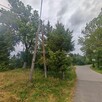 Lokal użytkowy 50 m2 + działka 1400 m2. Sprawdź! - 11
