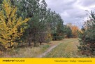 Działka budowlana 1207 m² Suszno, gm. Włodawa - 4