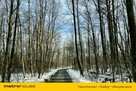 Działka Grzechynia - 5