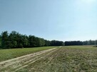 Promocja Działka budowlana gm. Stromiec, Ksawerów Stary - 3