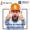 Sztauer-trymer z doświadczeniem w Gdańsku