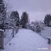 kawalerka 25m (2 pokoje), duży balkon, winda, os. Handlowe - 10