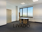 Lokal biurowo-usługowy 158m2 I ul. Rybitwy 11 - 11