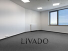 Lokal biurowo-usługowy 158m2 I ul. Rybitwy 11 - 14