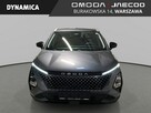 Omoda 5 - 147KM - Wersja Premium - Rocznik 2025 - 3