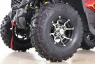 ASIX Inny Quad ATV ASIX TYTAN RR200 200cc Wyciągarka Chłodnica Oleju Alu USB LCD - 13