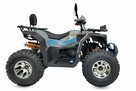 Inna Inny Quad ATV 250cc XTR FARMER PRO Automat LED Alufelgi Wyciągarka - 4