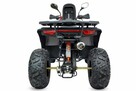 Inna Inny Quad ATV 250cc XTR FARMER PRO Automat LED Alufelgi Wyciągarka - 6