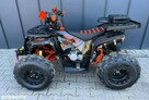 Inna Inny Quad ATV BRT BARACUDA 250 AUTOMAT Wyciągarka Podświetlenie Chłodnica - 10