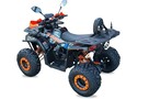 Inna Inny Quad ATV DUŻY 125 ARMOUR PRO 8 Licznik Tarcza Półautomat Oparcie LED - 6